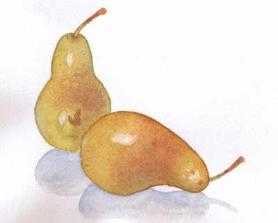 Two pears 11-04-09 1